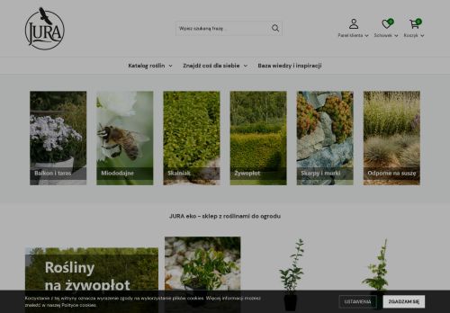 Gospodarstwo rolne – Agata Wąs